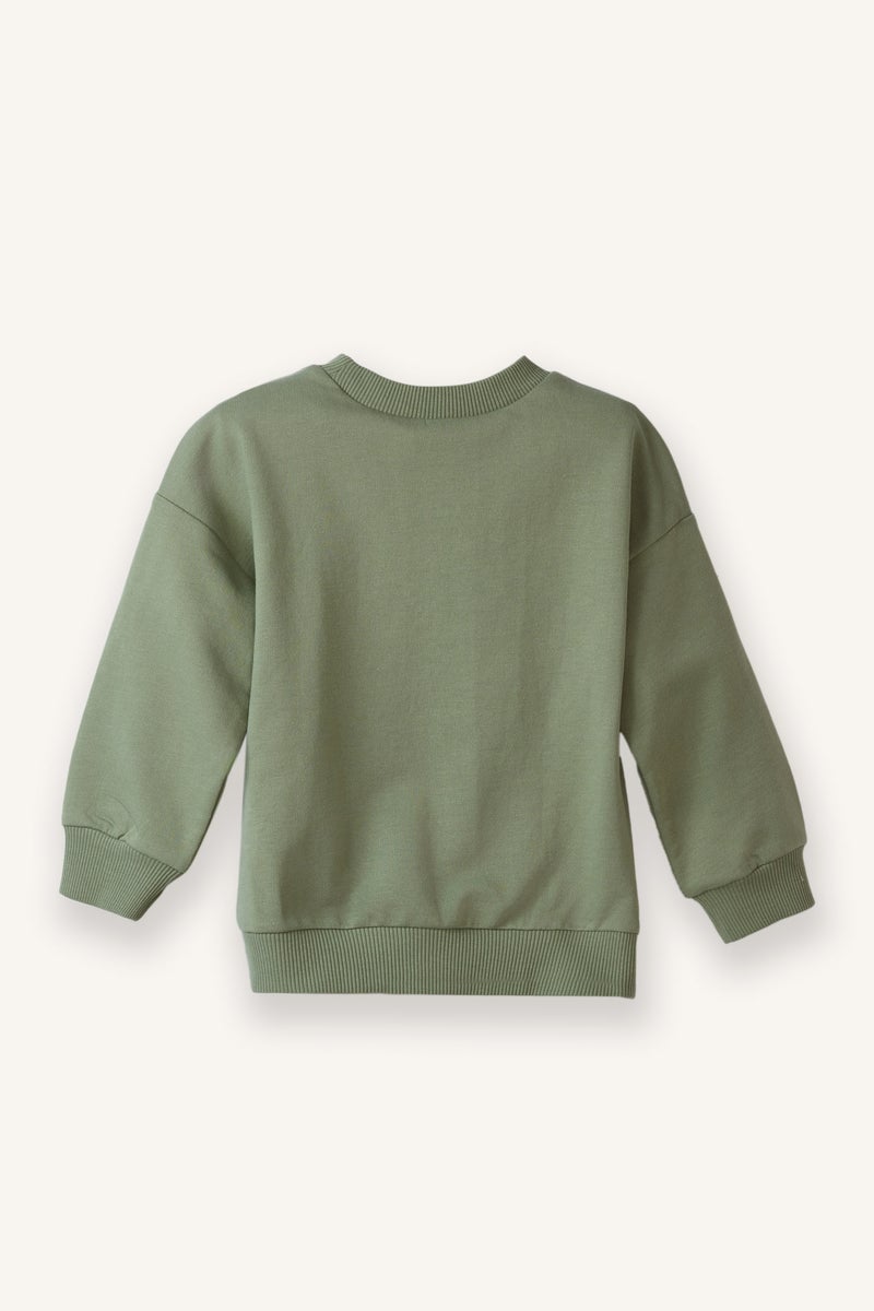 ديفاكتو سويت شيرت بيبي اولادي بيزك سادة قصة عادية - Image 3